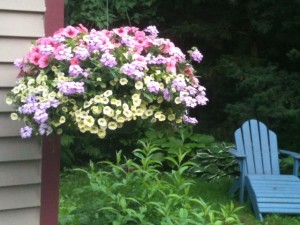 flower basket hanging mary birthday